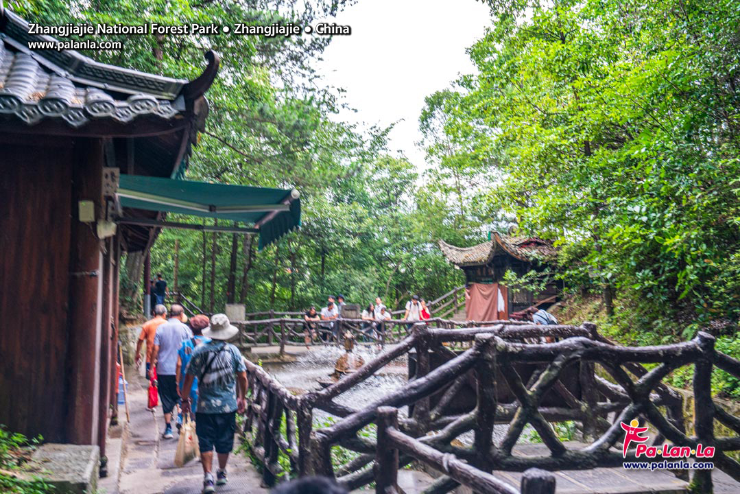 Zhangjiajie National Forest Park